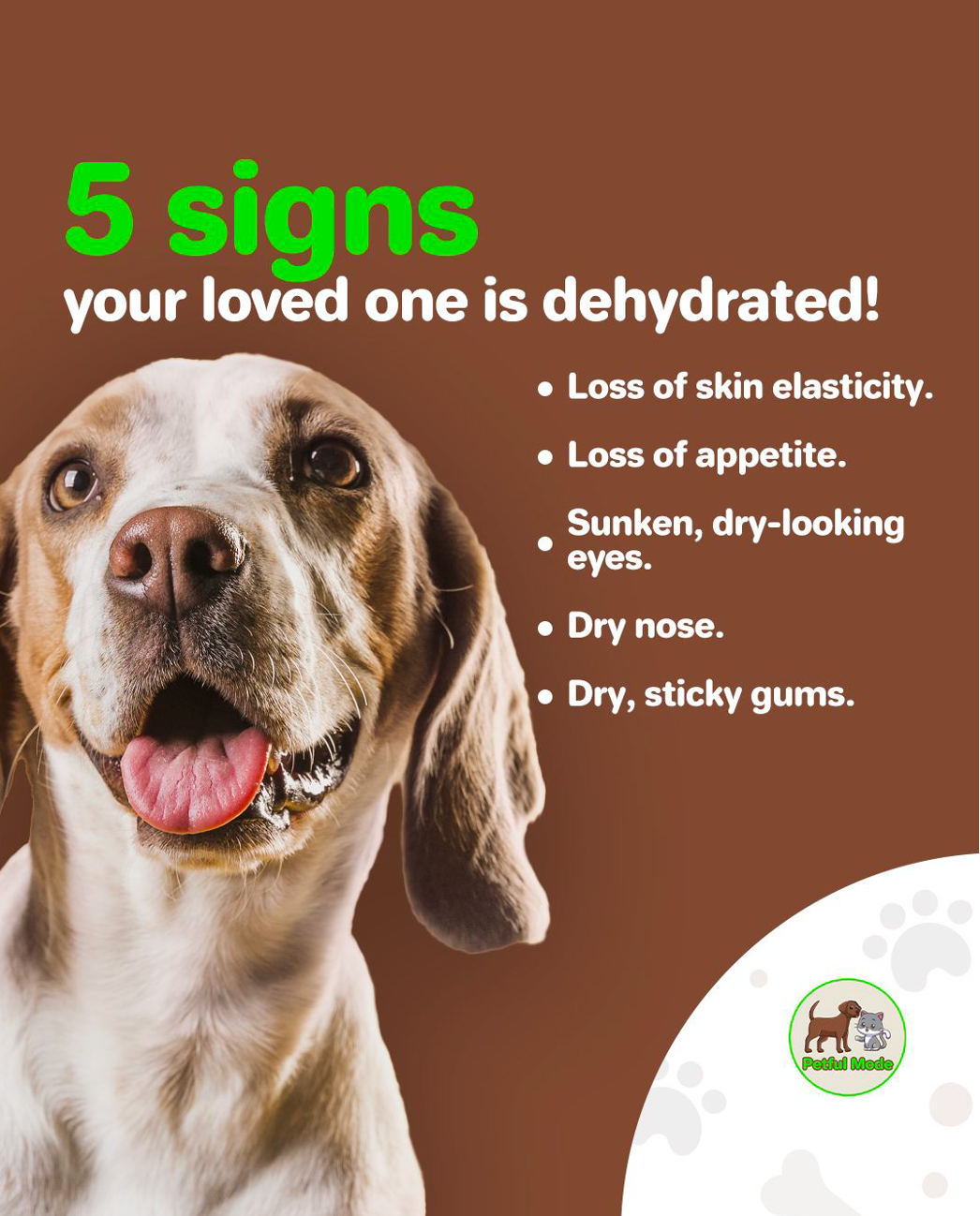 Protect Your Furry Companion: 5 Signs of Dehydration to Watch For!