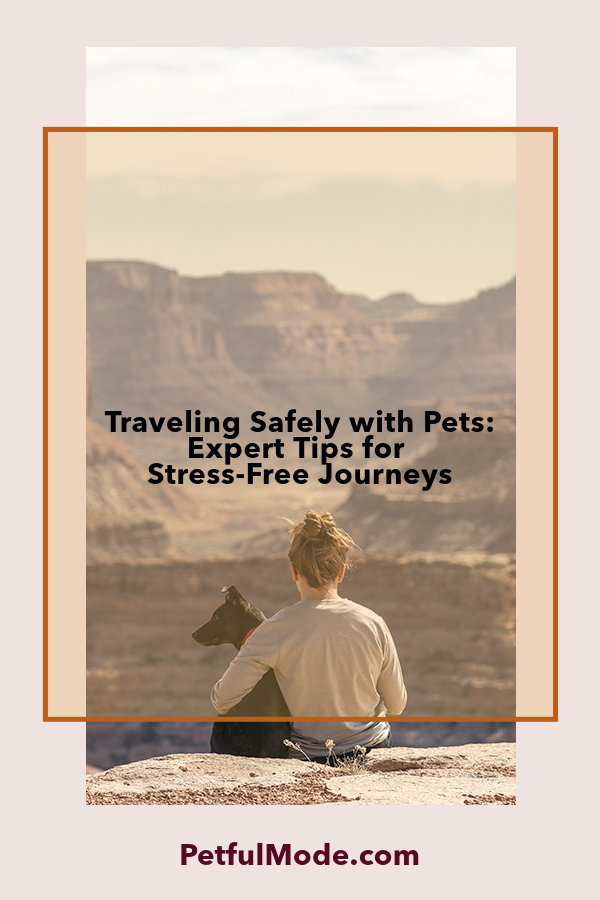 Traveling Safely with Pets: Expert Tips for Stress-Free Journeys - Petful Mode