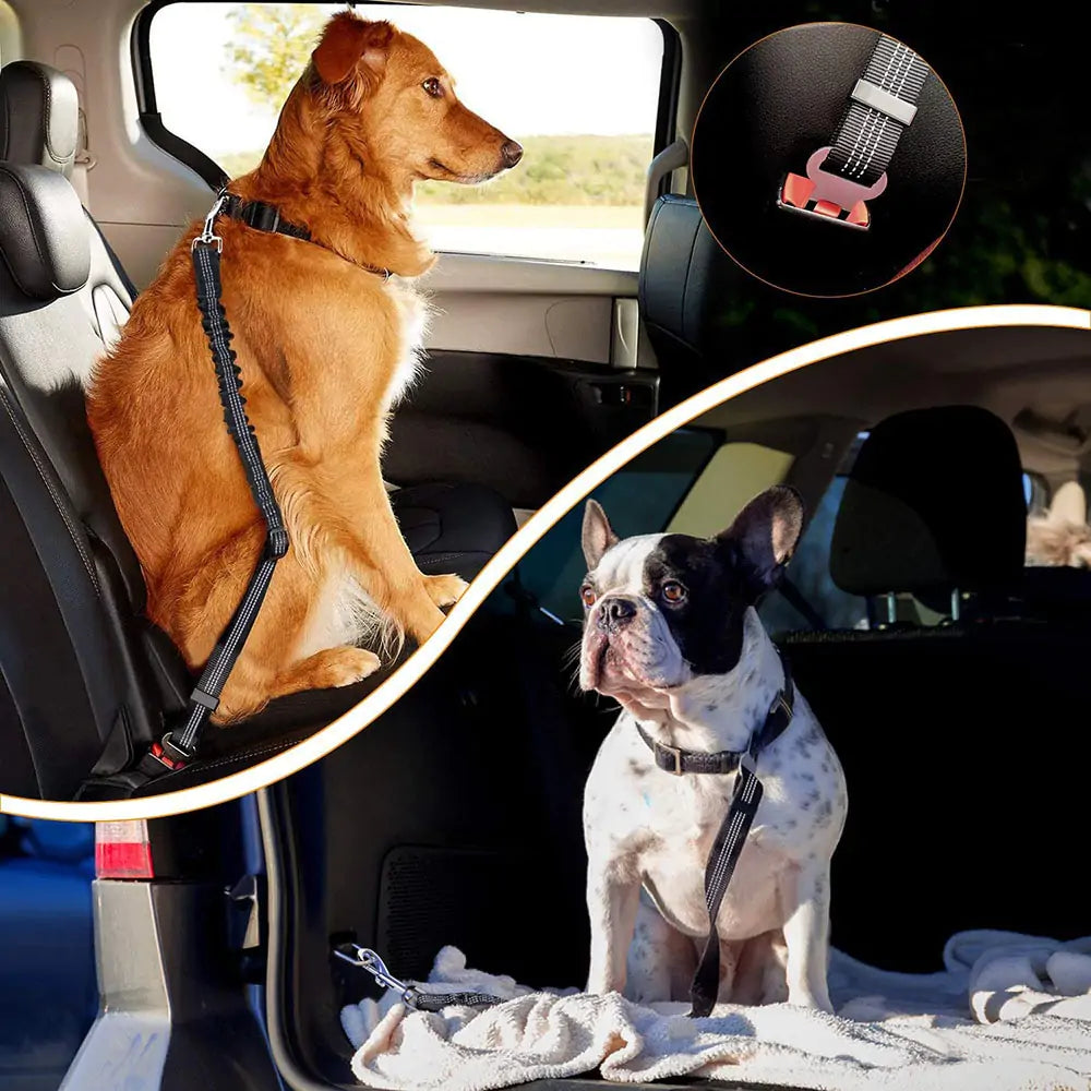 Upgraded & Adjustable Dog Seat Belt