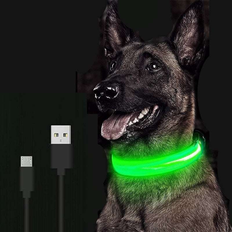 LED Dog Collar - Petful Mode