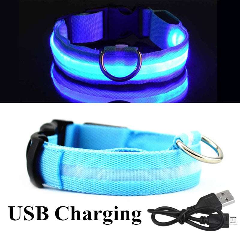 LED Dog Collar - Petful Mode