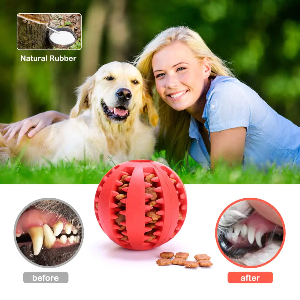 Interactive Pets Rubber Balls - Petful Mode