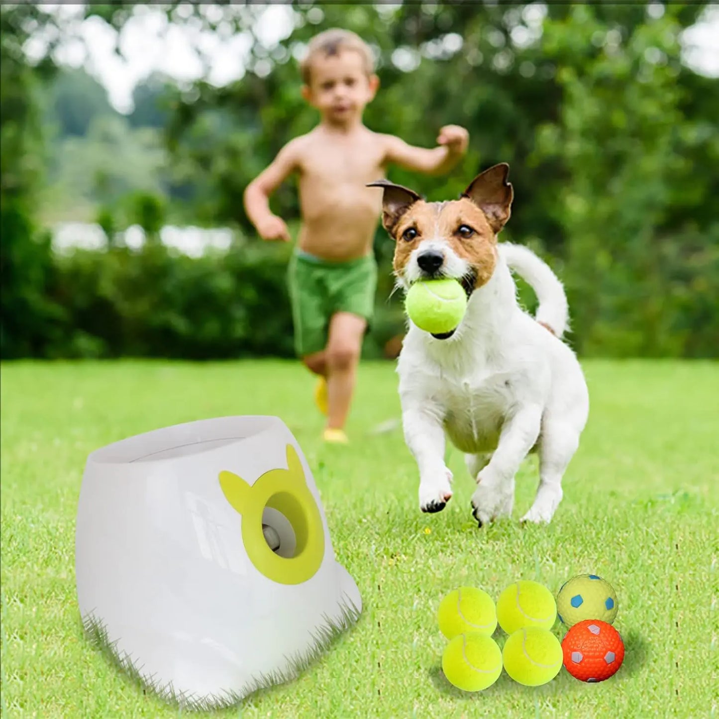 Automatic Fetch Ball Launcher