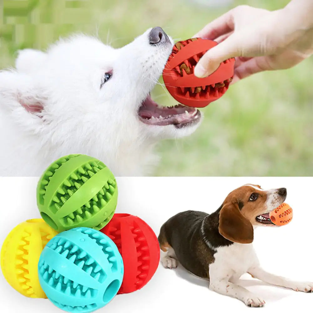 Interactive Pets Rubber Balls - Petful Mode