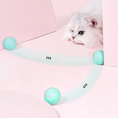 Rolling Ball Electric Cat Toys - Petful Mode