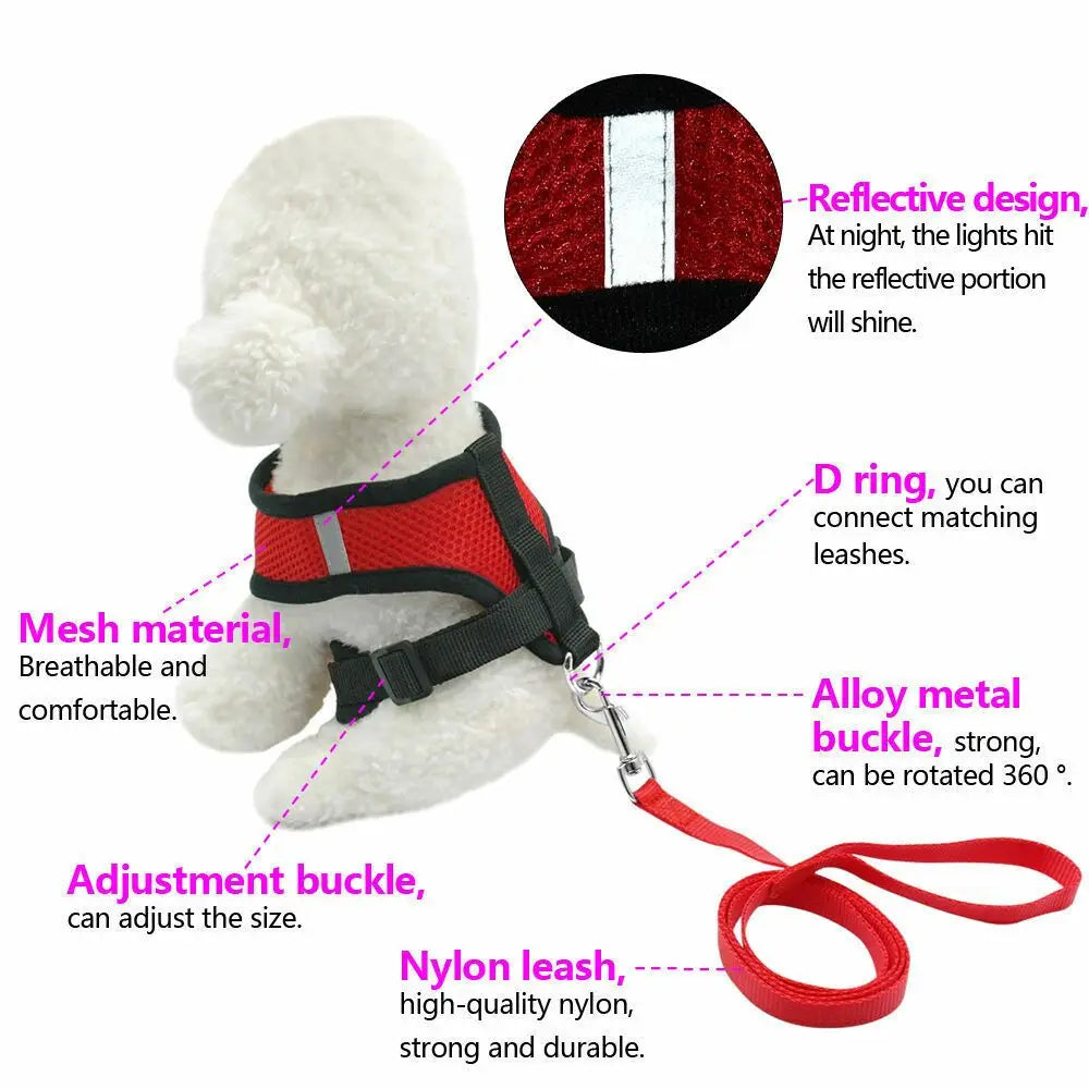 Small Breathable Mesh Dog Harness & Leash