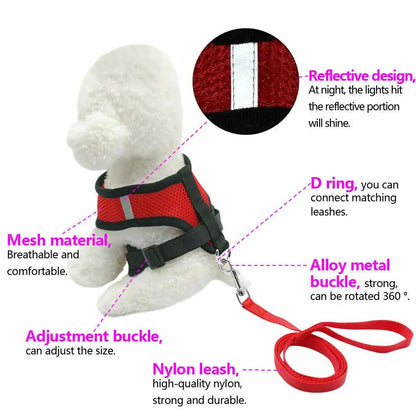 Small Breathable Mesh Dog Harness & Leash