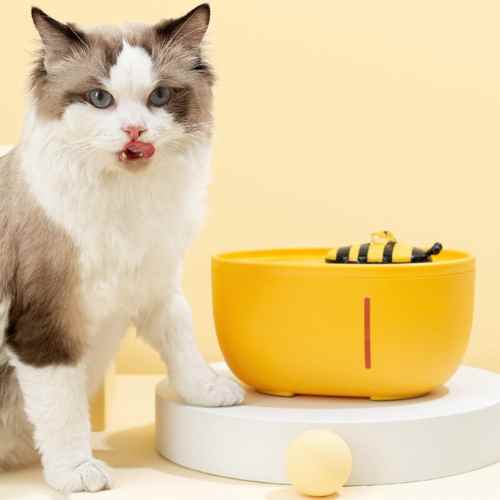 Bee Water Dispenser Cat - Petful Mode