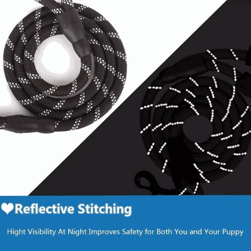 Premium Nylon Pet Dog Reflective Walking Leash - Petful Mode