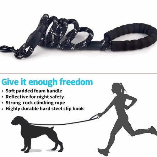 Premium Nylon Pet Dog Reflective Walking Leash - Petful Mode