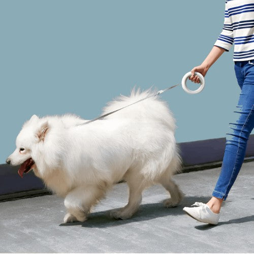 Smart Retractable Pet Leash - Petful Mode