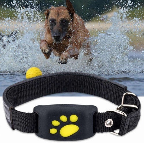 Universal Pet GPS Tracker Collar - Petful Mode