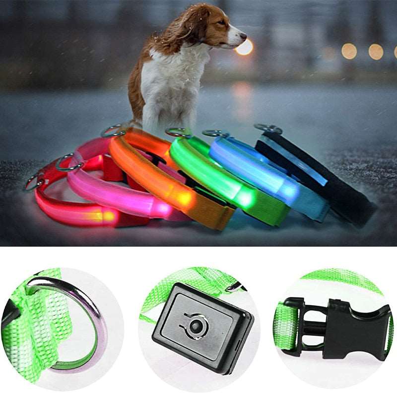 LED Dog Collar - Petful Mode