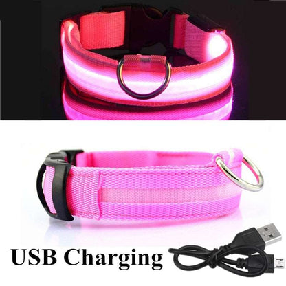 LED Dog Collar - Petful Mode