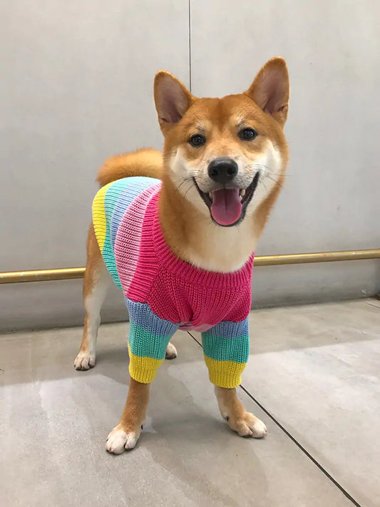 Puppy Knitted Rainbow Sweater - Petful Mode