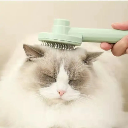 Cat Fur-Removing Grooming Brush