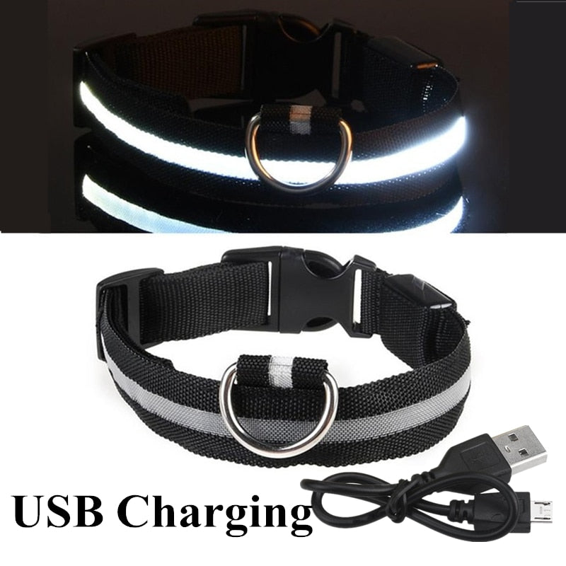 LED Dog Collar - Petful Mode