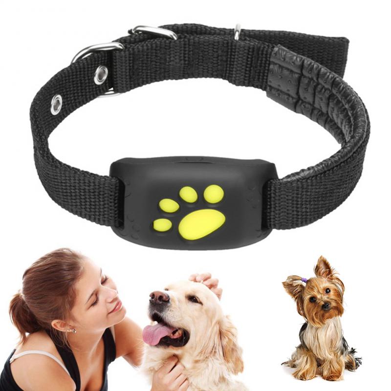 Universal Pet GPS Tracker Collar - Petful Mode