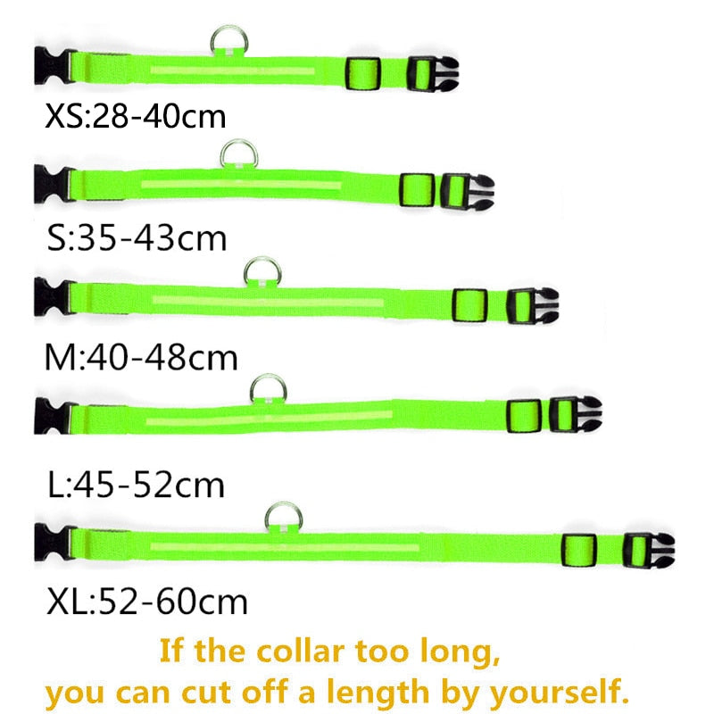 LED Dog Collar - Petful Mode