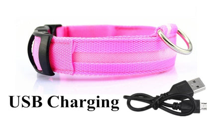 LED Dog Collar - Petful Mode